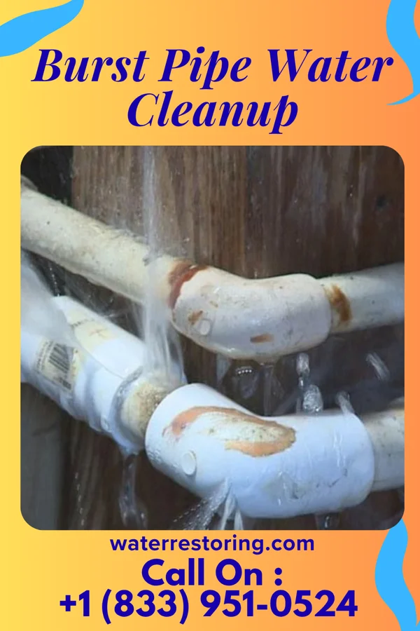 Burst Pipe Water Cleanup in Maddock, ND
