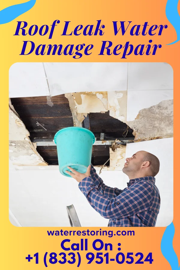 Roof Leak Water Damage Repair in Maddock, ND
