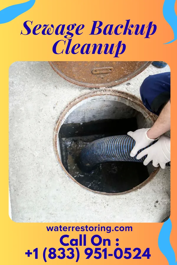 Sewage Backup Cleanup in Maddock, ND